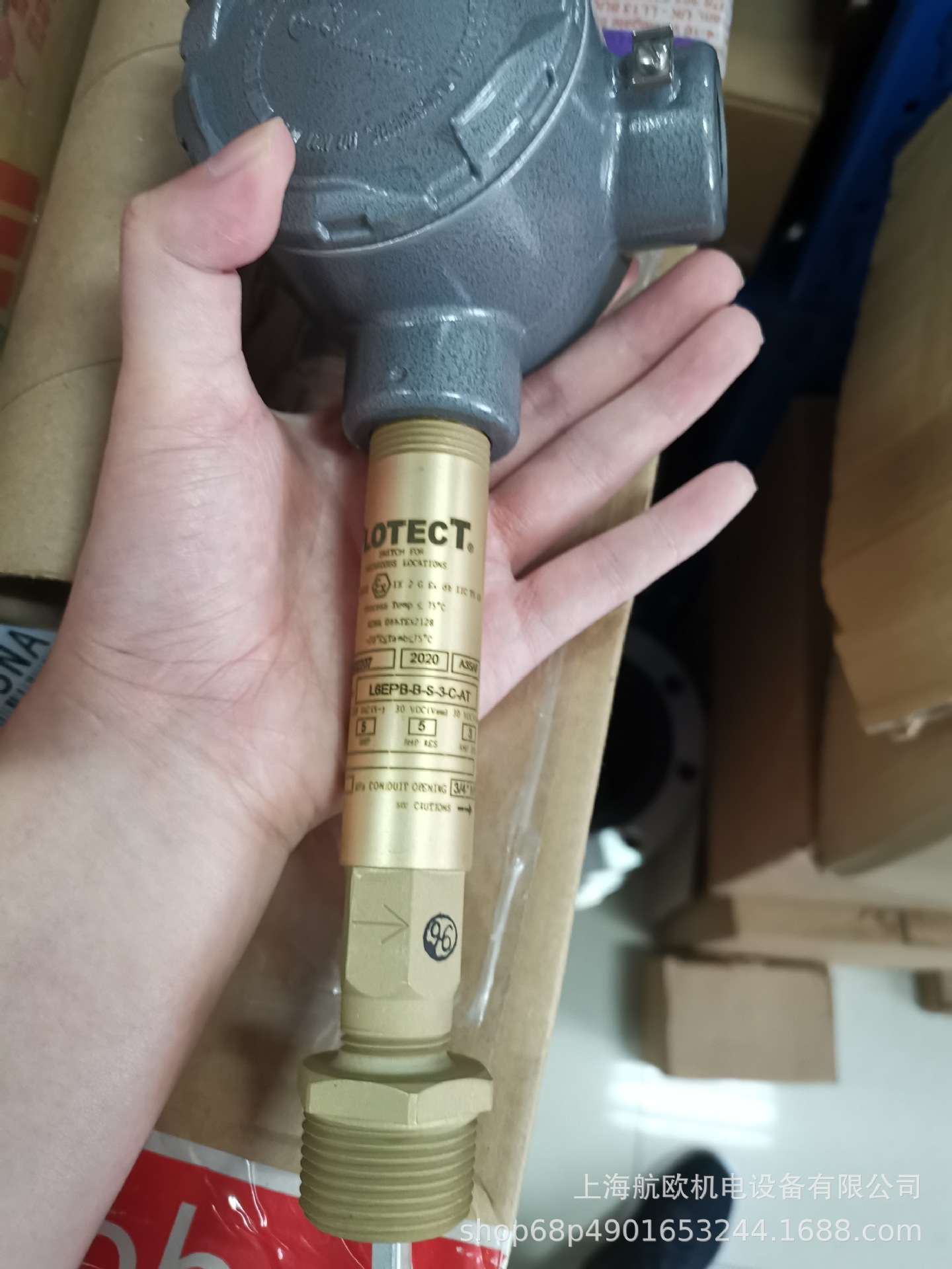 FLOTECT疏水阀液位开关L6EPBSS3CAT