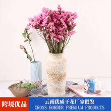 勿忘我干花 云南永生花 干花 厂家批发 花瓶插花客厅家居场景装饰