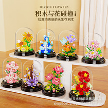 xϵЃͯƴb߄[ŮСYݘ߷eľl