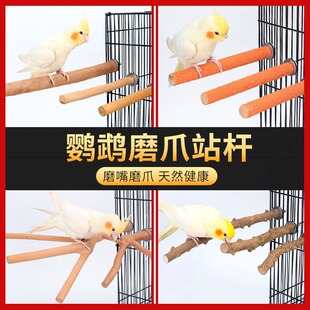 �B��վ�U���P�W�^��߿�ҧ����ľĥ��ĥצ���B�\ĥɰվ��վ�����l