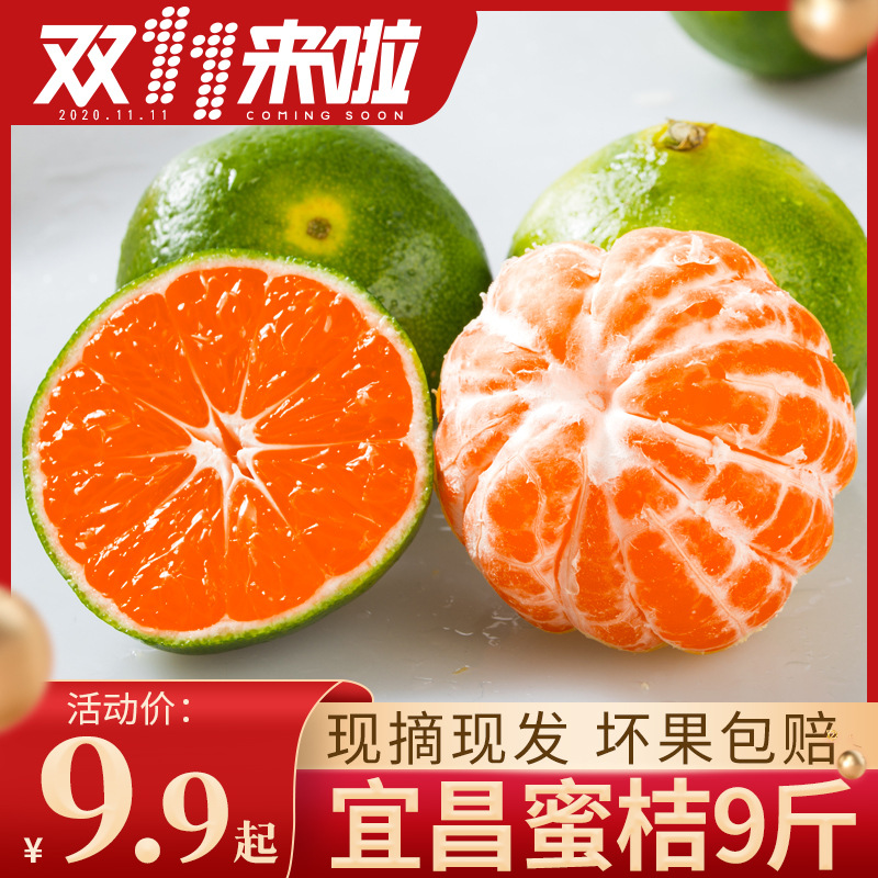蜜桔现摘新鲜橘子宜昌9斤整箱孕妇水果当季无籽青皮桔子云南蜜橘