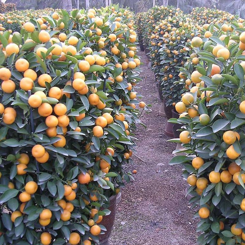 c45073ba-2b97-4d4b-8513-fdeeff