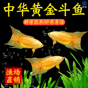 �Ї����~�S�����S���~���w���~���~���B���BС����ˮ��ˮ�^�p�~