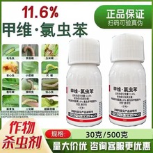 11.6%�׾S���x�� �׾S�}���x�����������x����������xˮ�����x��