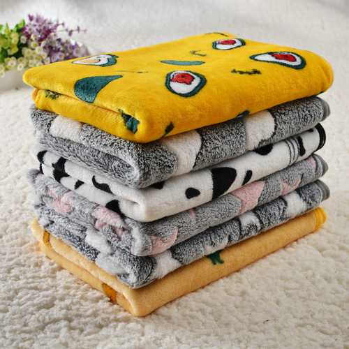 Pet products blanket manufacturer wholesale dog blanket super soft warm coral velvet dog bed mat cat and dog blanket