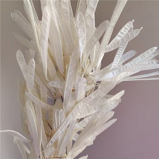 ��������ⶹ�v�ɻ��㶹�v�Ҿ��b廨�Ĕz���߻�c����������