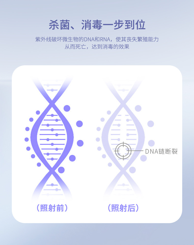 详情10.jpg