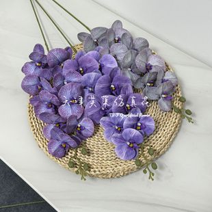 9�^�����m���滨�������û�c�û��ҾӾƵ�ܛ�b�ٻ����滨�[�O