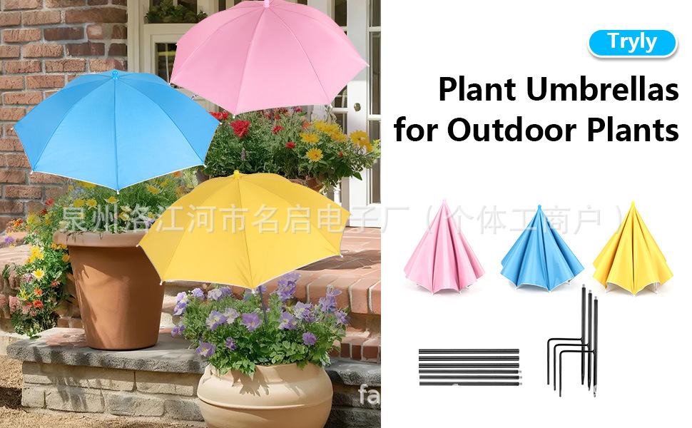 植物遮阳伞雨伞 (4).jpg