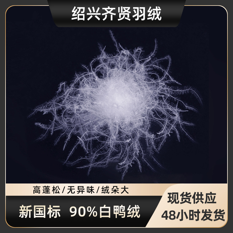 羽绒厂家水洗90白鸭绒2021新国标高含绒量白鸭毛填充新认证充绒