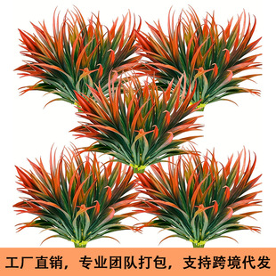�羳���R�d�＾����ֲ����ɫ��ֲ�������m���τ��m�����b����l