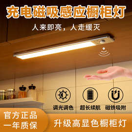 led超长续航人体感应灯 走廊玄关感应灯书桌衣柜橱柜展示柜小夜灯