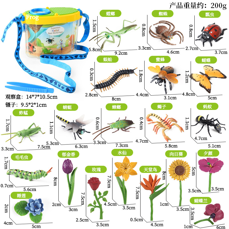Caja de observación + mini insectos HSJ 12 tipos + set de flores artificiales 8 tipos