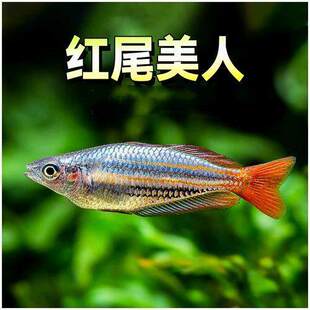 �tβ�����~�������T�Ꭷ�~�^�p�~���B�ͺ���ˮ�~�t�O�������~���w