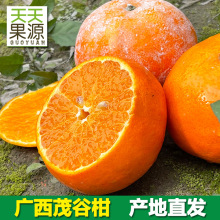 产地货源 广西茂谷柑5斤装整箱新鲜水果批发柑橘子一件代发非沃柑