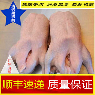 ���h�����Z���r�������Z���Þ����Z���Z�R���Zȫ�Z���Ƴ�חl�Z