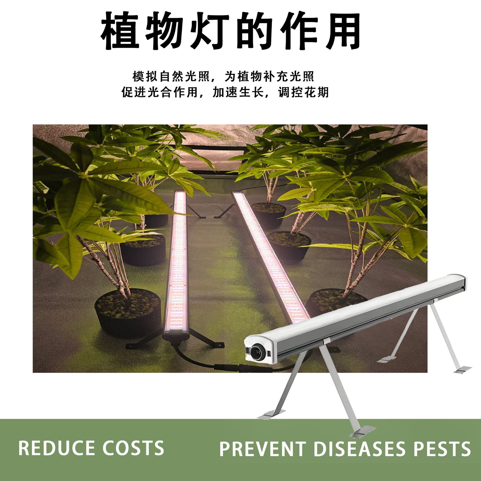 Under the canopy125W���µƵ��ϲ������������Ʒ������ũ����ֲ