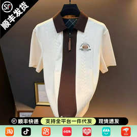 春夏新款男士时尚高品质老钱简约百搭潮流舒适休闲polo衫短袖T恤