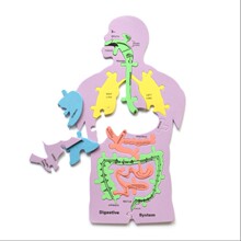 ��ͯ���ǿƽ̡����w���١�����ƴ�D�_�l����С�����ƽ̽̾߿Ƽ�