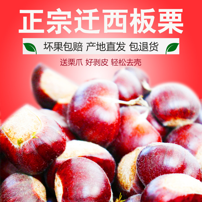 Qianxi Chinese chestnut Place of Origin Straight hair Various specifications Chinese chestnut Raw and fresh Qianxi Chinese chestnut wholesale Fresh Chestnut