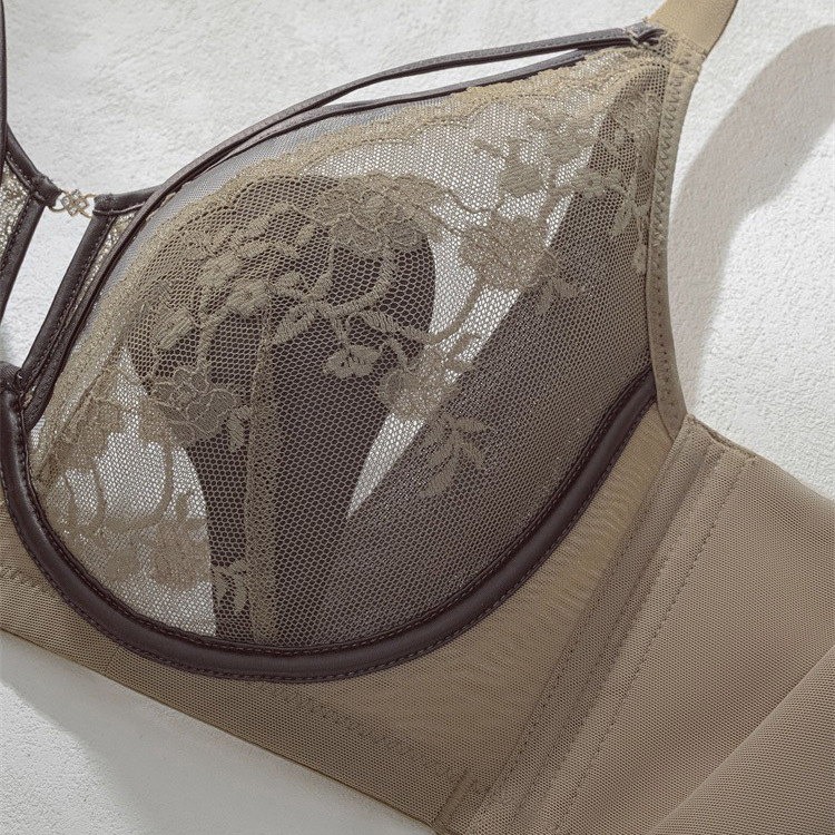 6616 Sujetador de encaje sexy con anillo de acero suave francés, orejas de conejo ligeras, pechos grandes, memoria pequeña, ropa interior ajustable de titanio