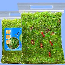 �_����ʳ���Bȹ�������A�������z����ɳ���������ω�˾�ײ��Lζ