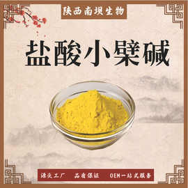 盐酸小檗碱 黄连提取物 黄连素原料粉末 现货