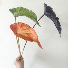 ���滨 �V�~�ﺣ���~ �Ҿ�ܛ�b�OӋins ����Gֲֲ�ﻨ�Ĳ廨���~