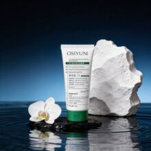 �W�z��弡�����ϴ������Ʒ������ϴ������ӝ�͸���������