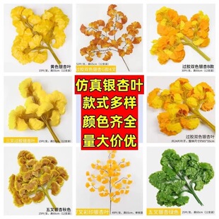 �����y�Ә��~�ָ��^�z�����Ř�֦�Gɫֲ���~�Ӽ٘�֦�����b��쾰
