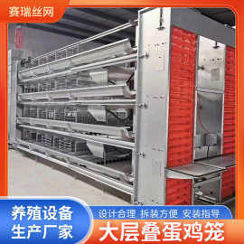 全自动大层叠蛋鸡笼 养鸡设备鸡笼 大型鸡舍鸡场养殖笼子厂家