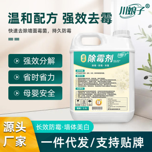 Wall Mold Remover for White Walls, Hotel Basement Ceilings, Powerful Cleaning Antibacterial Manufacturer Mold Remover, Antibacterial and Anti-Mold