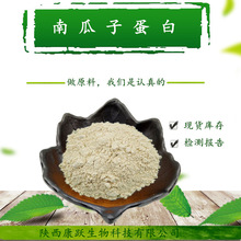 南瓜子蛋白 60% 南瓜籽蛋白粉 食品级  源厂货源 厂家包运费价格