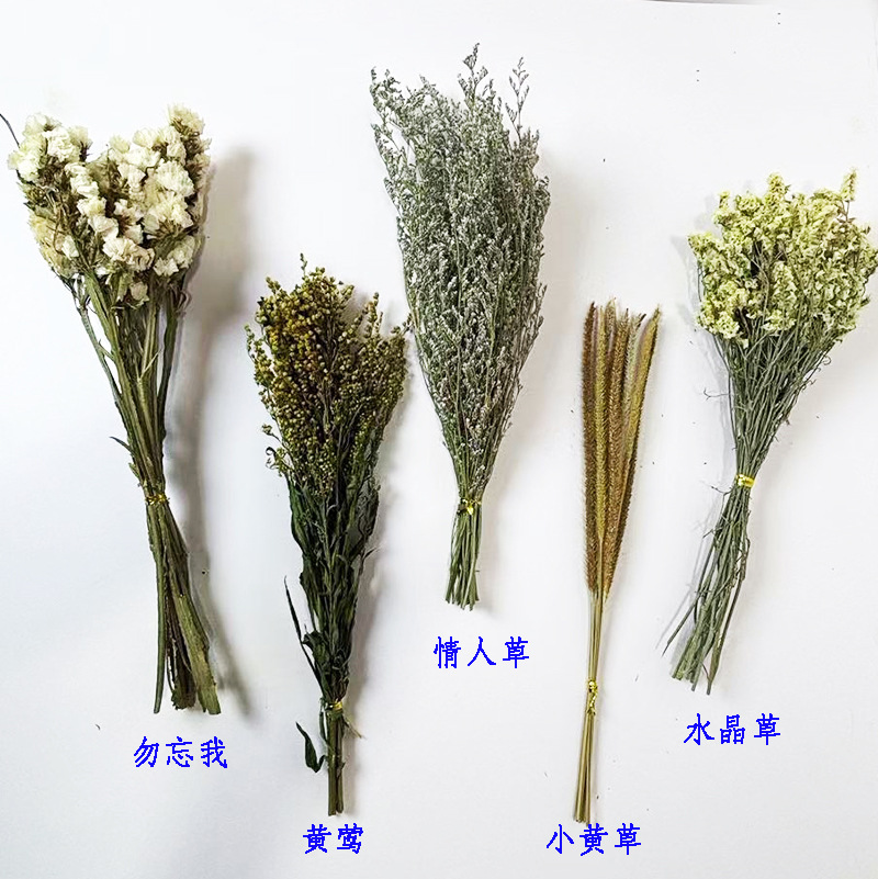 sku干花组合B.jpg