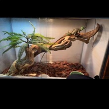 ����������ľ���ָ��쾰�،m�ת{����޽��������ٗl�䗫���y��ľ