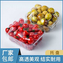 一次性水果盒pet生鲜托盘超市透明无盖果切盒蔬菜保鲜包装盒批发
