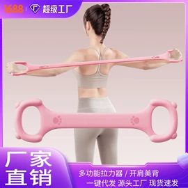 其他健身器材;健腹器;速度球/发泄球