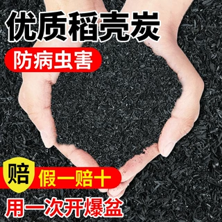 稻壳炭纯农家优质草木灰谷壳碳种菜多肉养花卉栽培基质天然有机肥