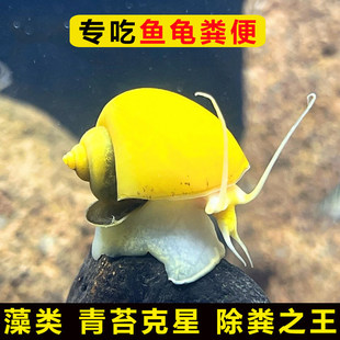 �����~ʺ�S����S�����^�p�Ӱ��O���ڽ���ʳ����̦�坍�׳����䵭
