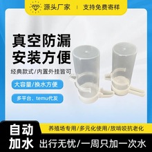 新款鸽子自动喂水杯鹦鹉鸟用信鸽饮水器自动水壶芦丁鸡用品用具