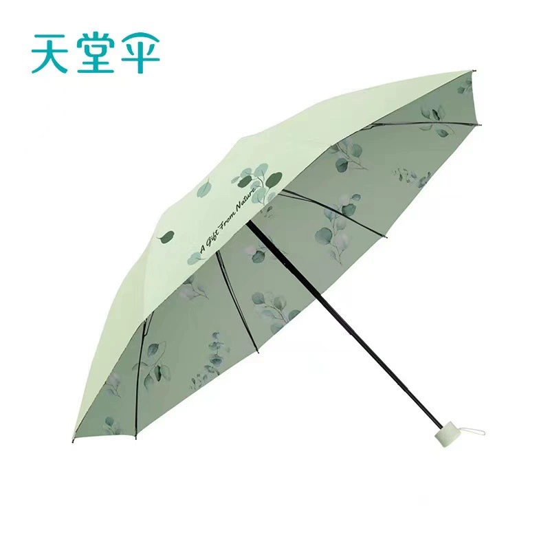 Fresh double-layer umbrella solar-powered, sun protection