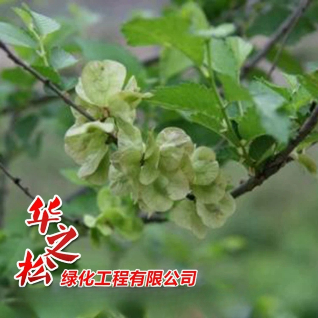 微信图片_20241009135455