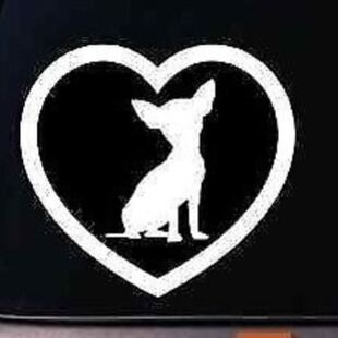 �����������N���Pӛ����X������Ԯī���������R��܇�N��