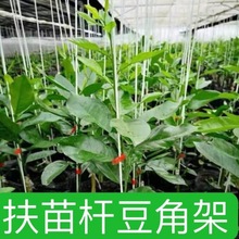 扶苗杆花支架支撑杆支柱园艺植物花架黄瓜豆角丝瓜爬藤菜园玻璃钢