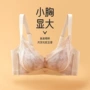 透气调整型蕾丝聚拢文胸