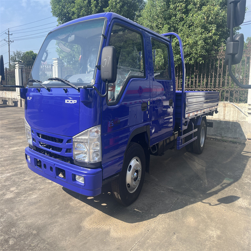 Isuzu Isuzu 3-Ton Truck Double-Row Panel Truck Factory Direct Sale 4*4 Dump Truck Available for Sale