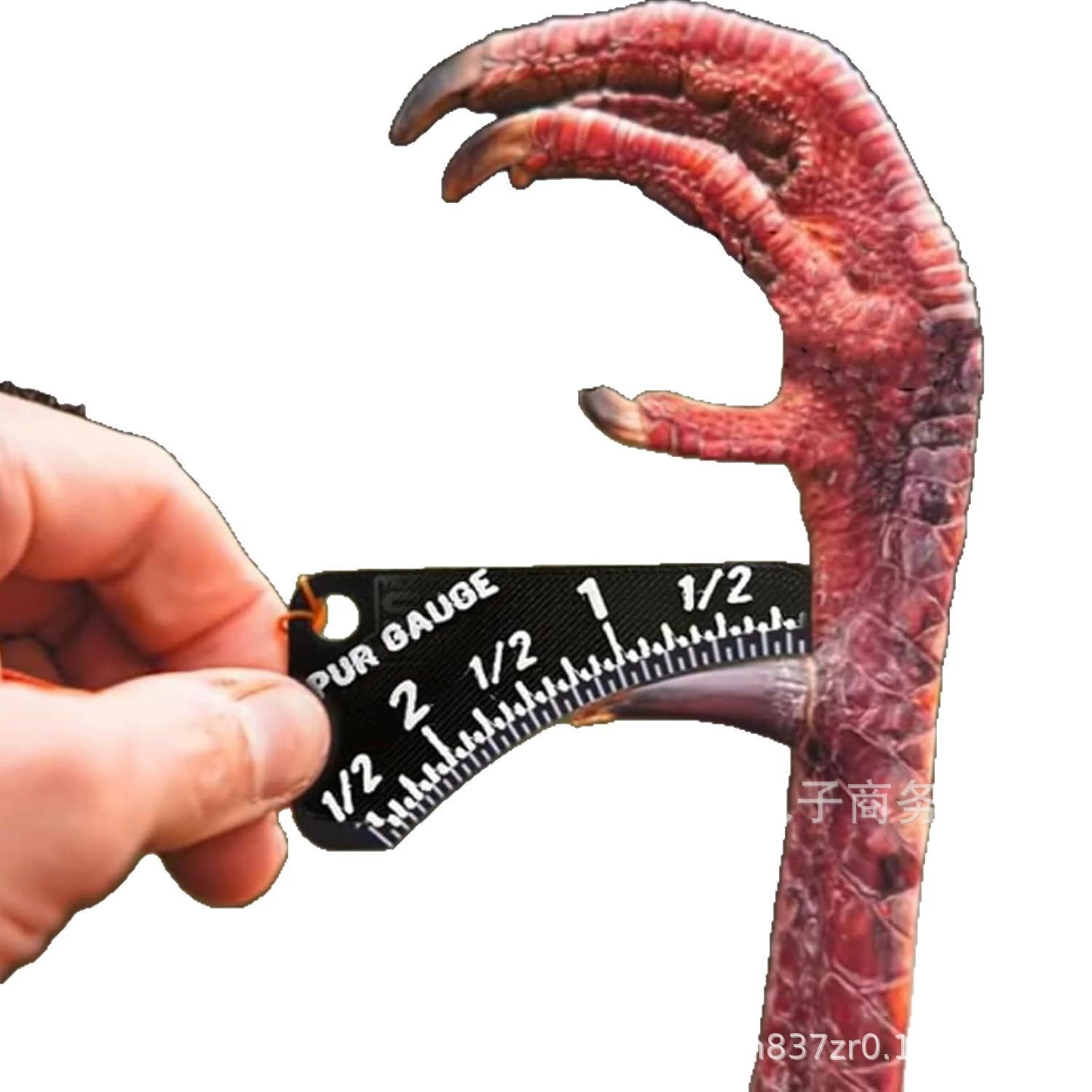 Amazon Creative Portable Fun Wild Turkey Spur Gauge Wild Turkey Spur Measuring Ruler