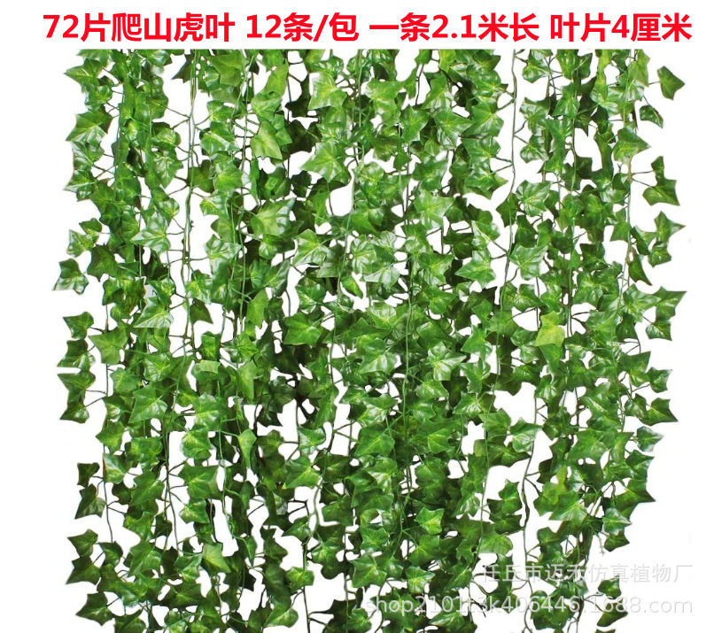 微信图片_20220503124811_副本
