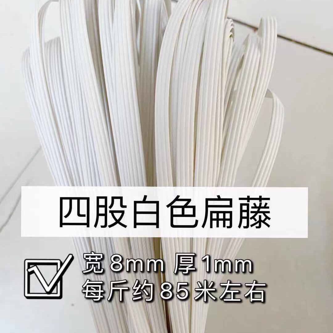 순백의 납작한 덩굴 4가닥