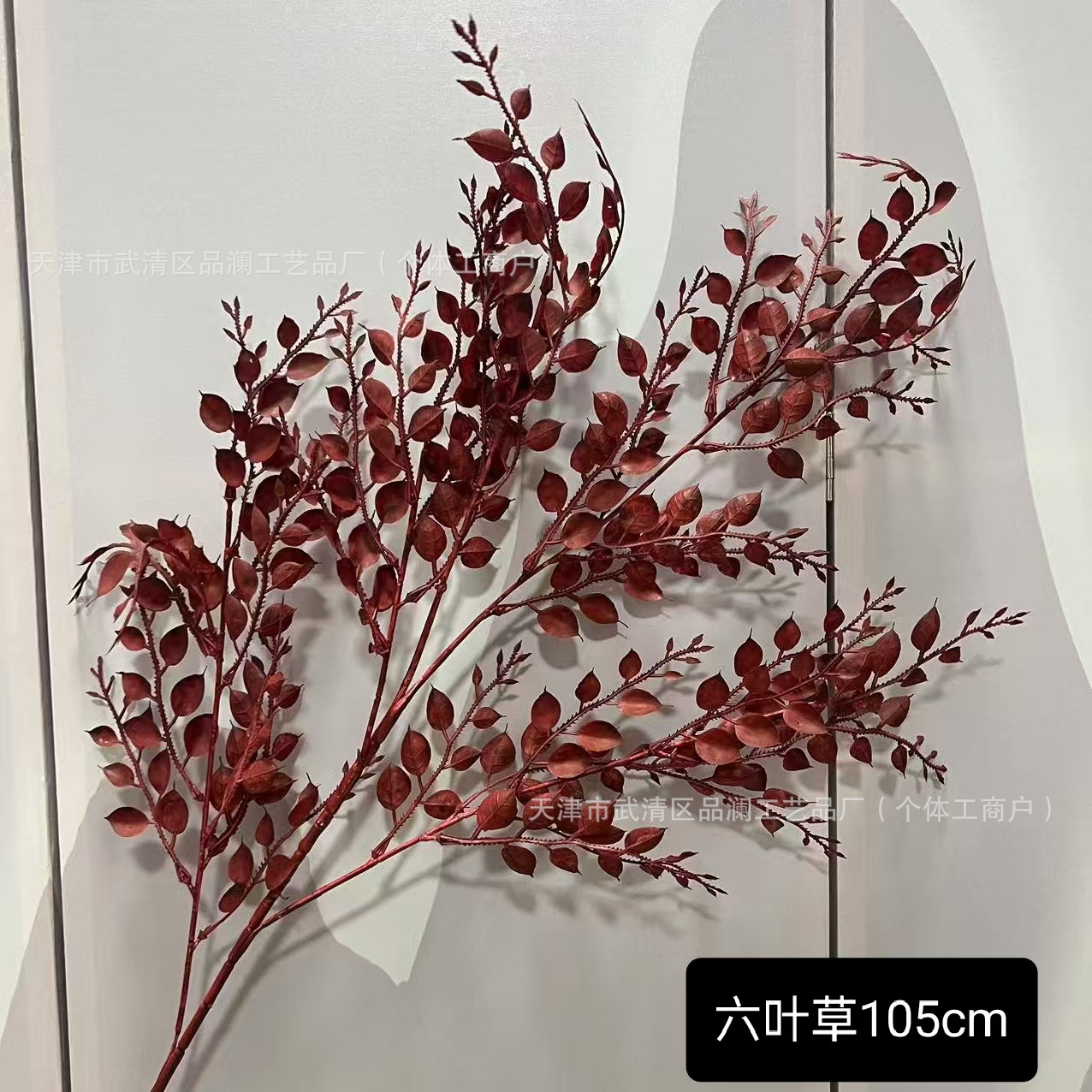 여섯 잎 클로버